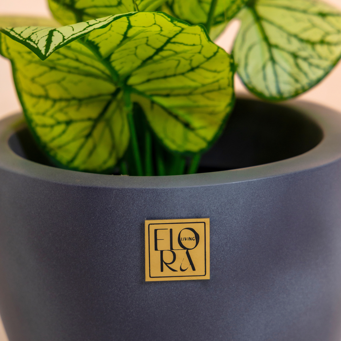 Round Bowl Planter