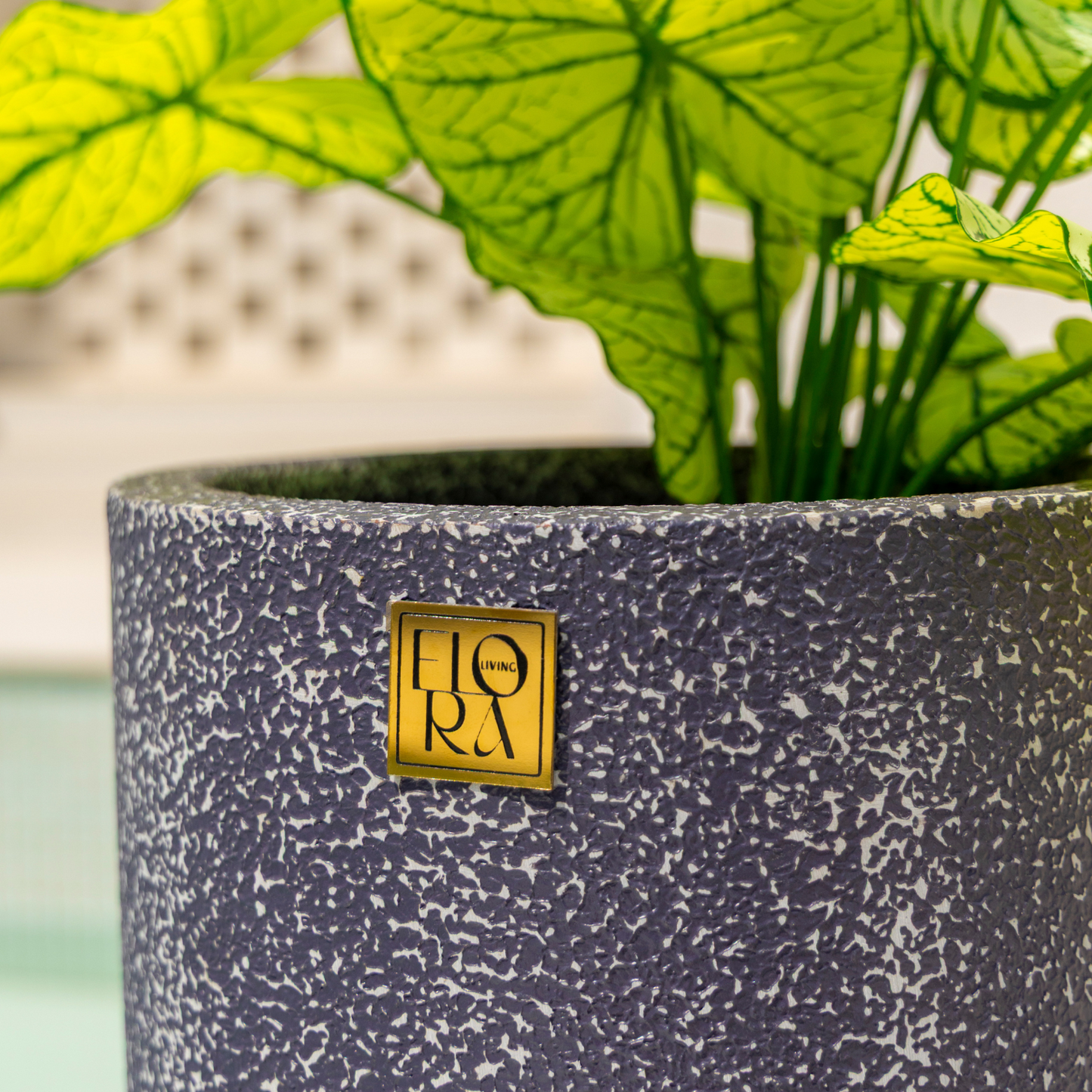 Reo Planter