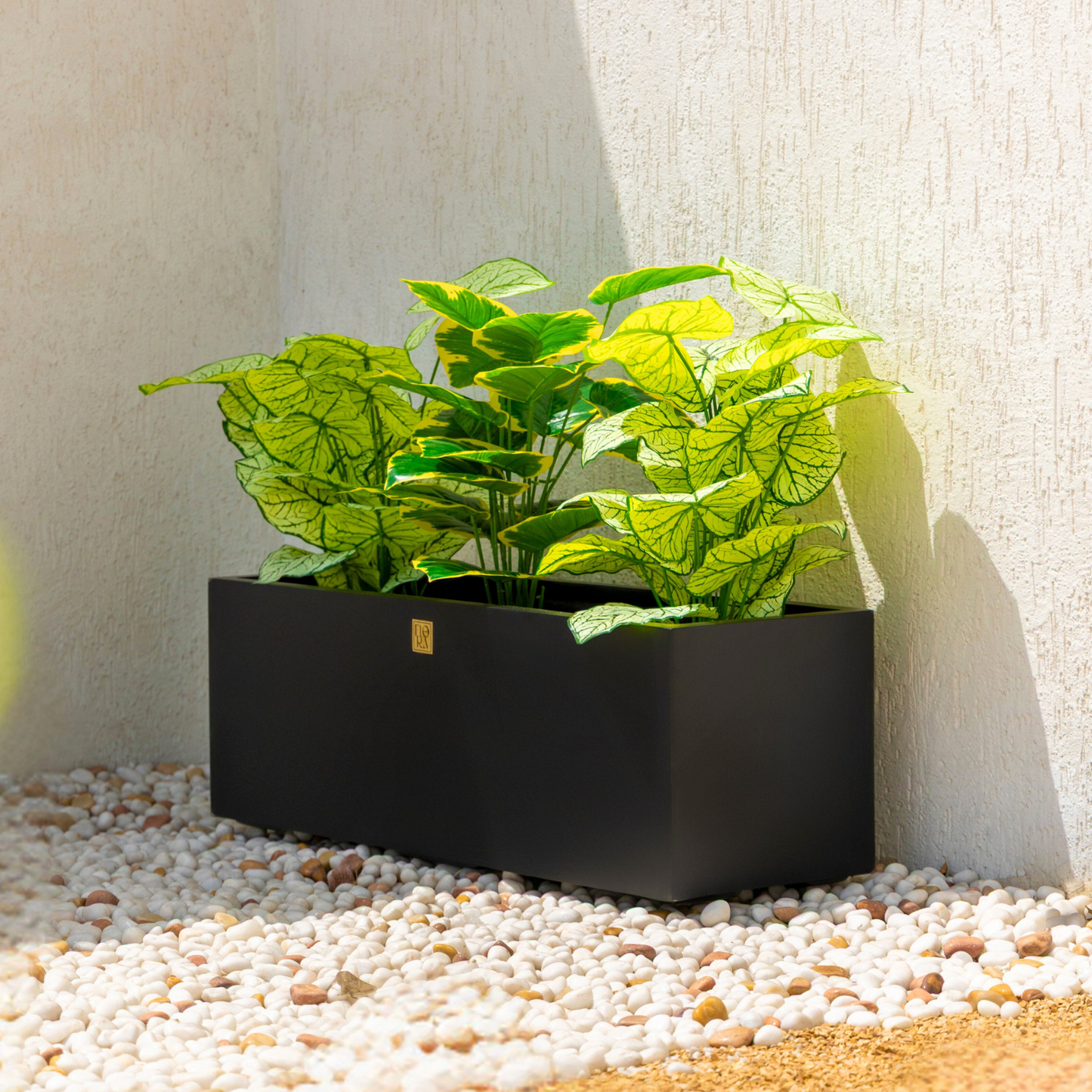 Naplez Planter