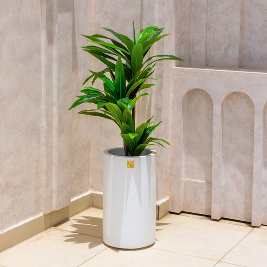 Reo Planter