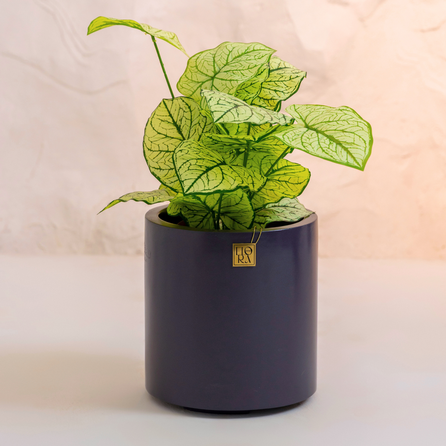 Reo Planter - Dark Grey