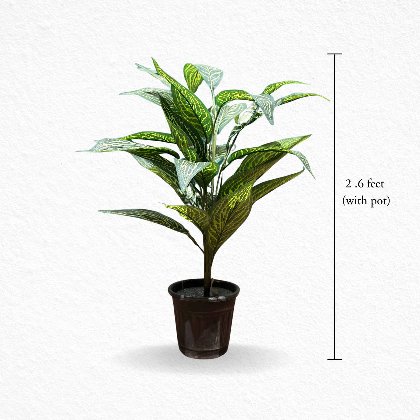 Luxleaf (EL-1032)