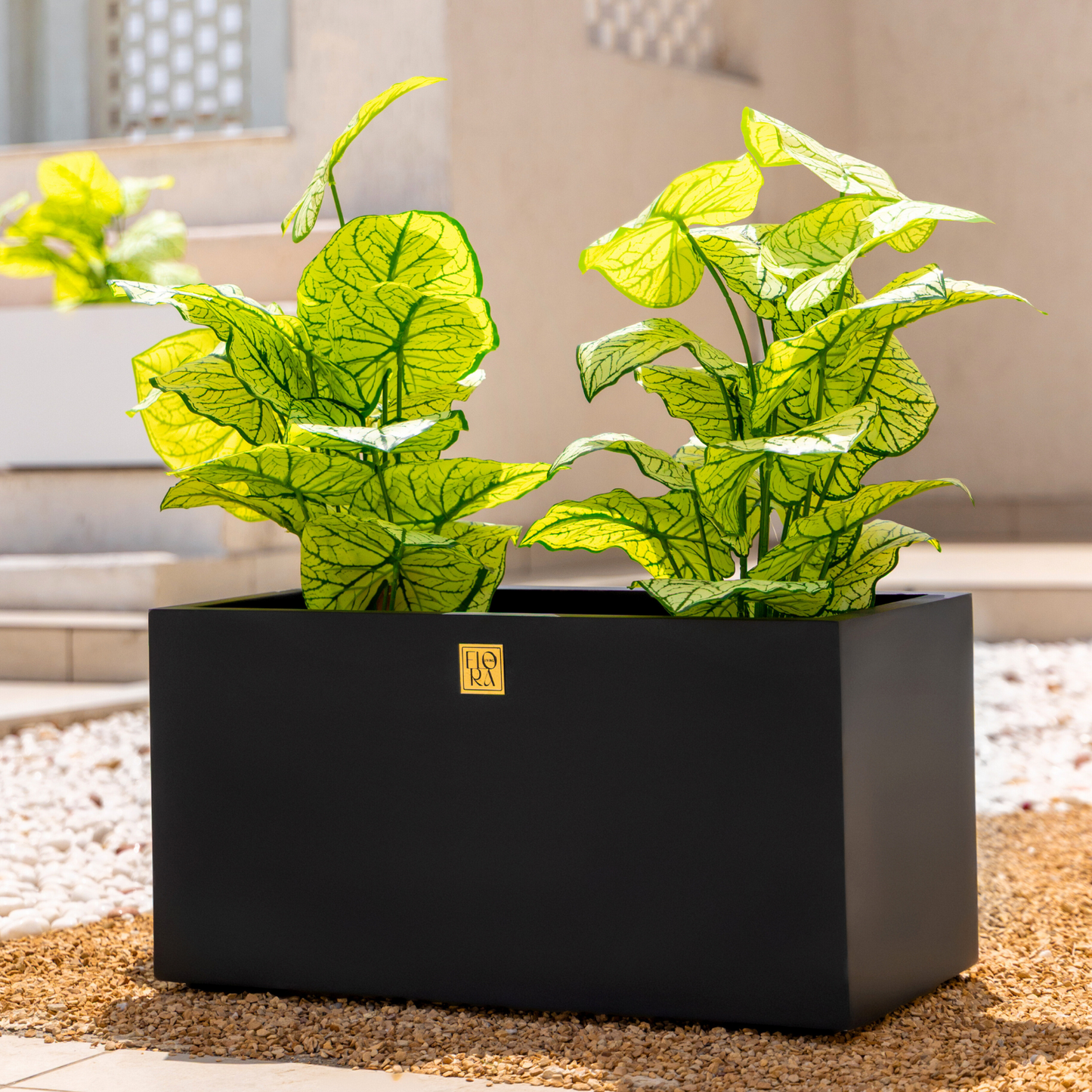 Naplez Planter
