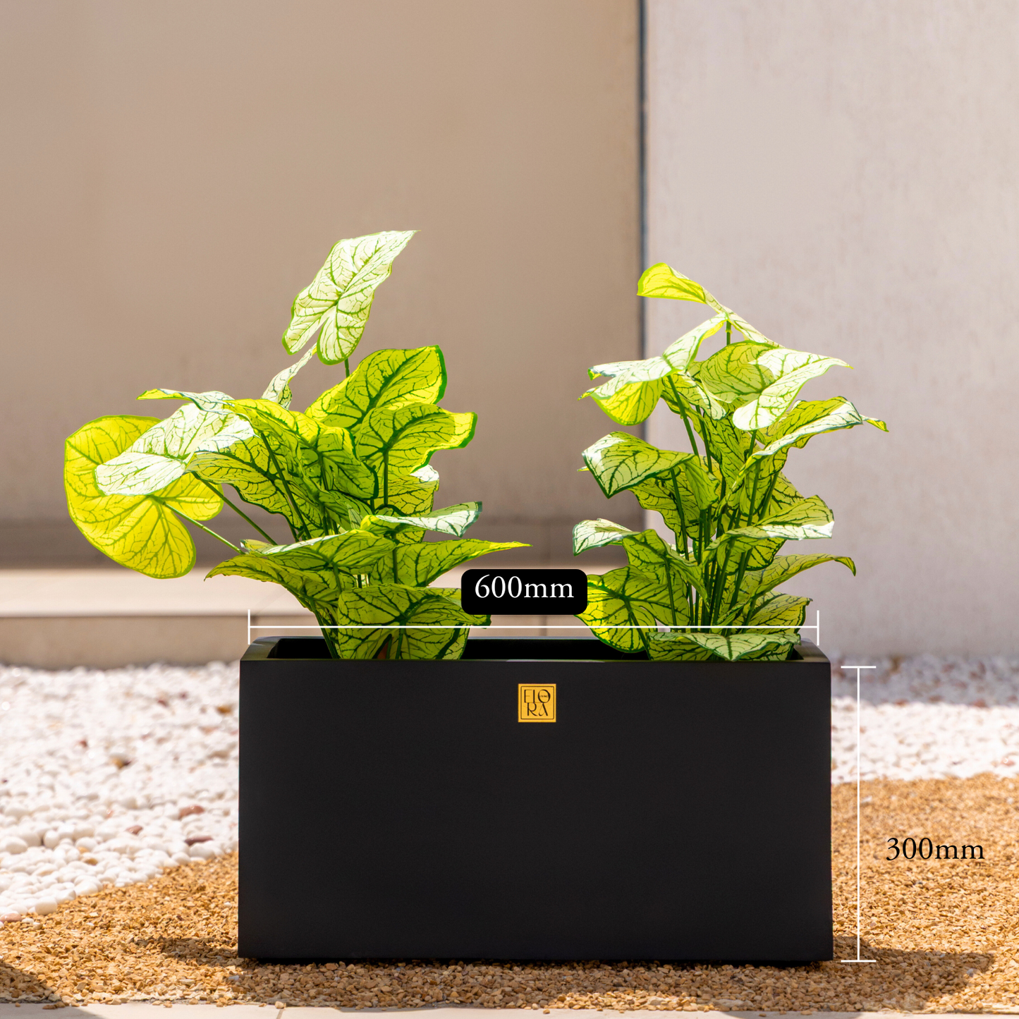 Naplez Planter