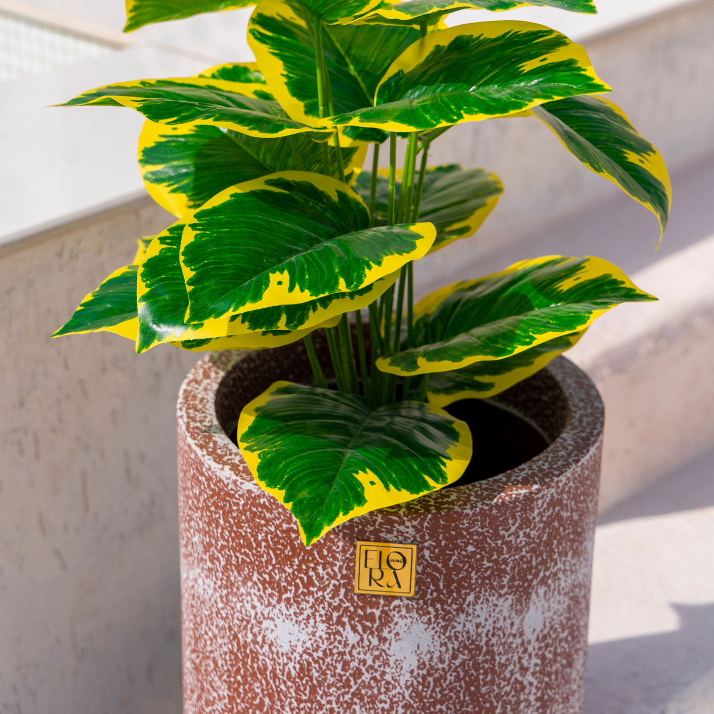 Reo Planter