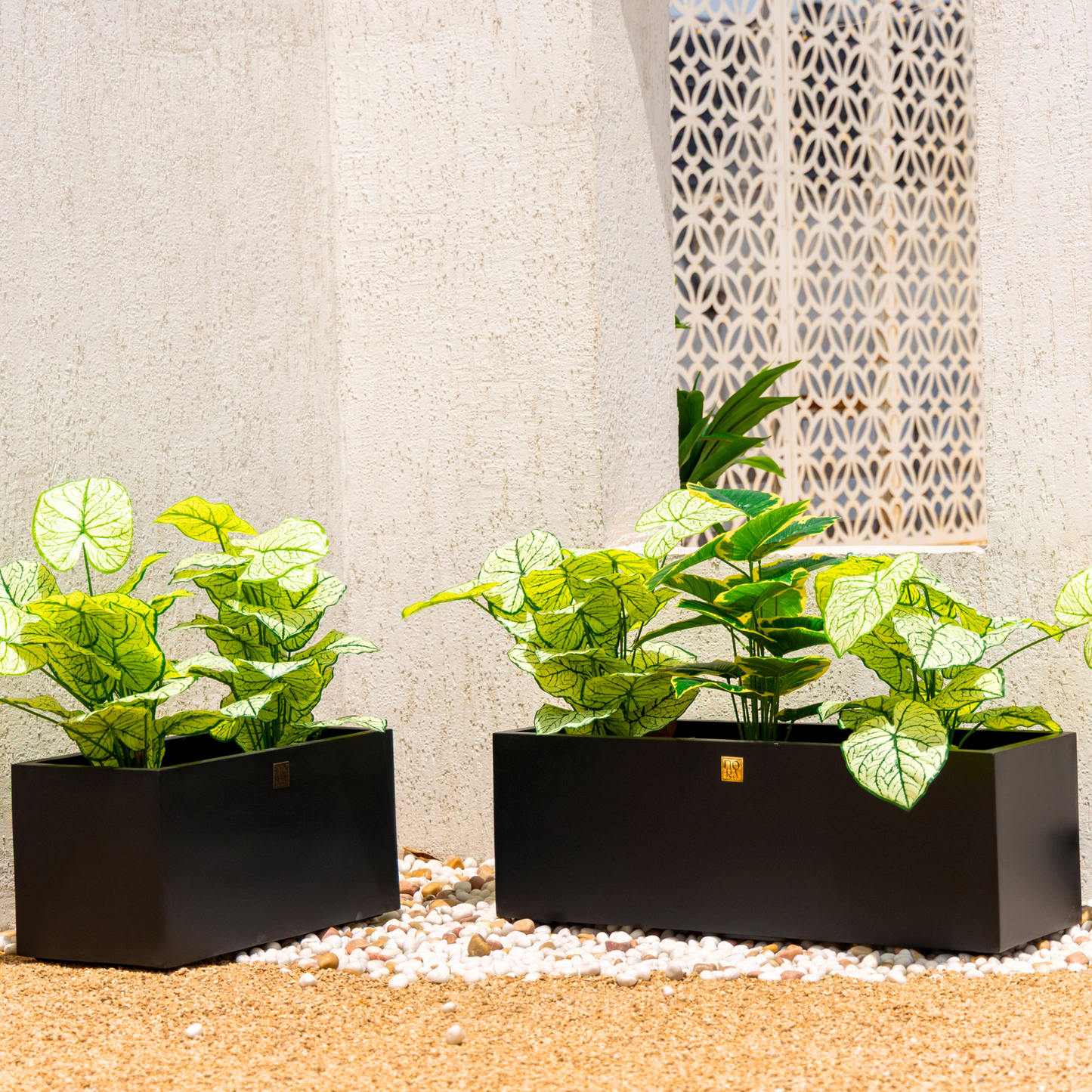 Naplez Planter