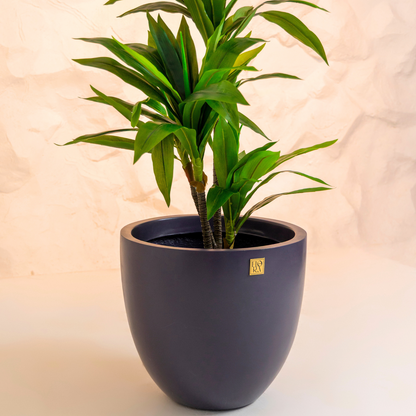 Round Bowl Planter
