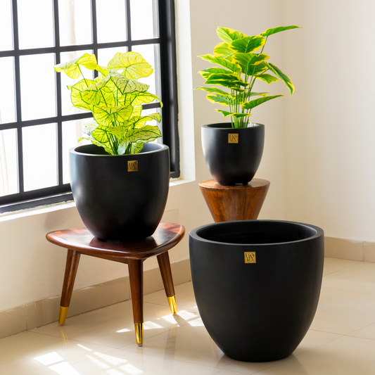 Round Bowl Planter (Set of 3)-Black