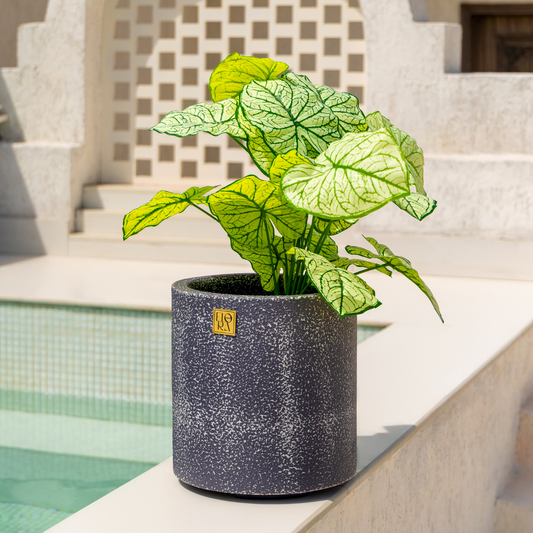 Reo Planter - Antique Dark Grey