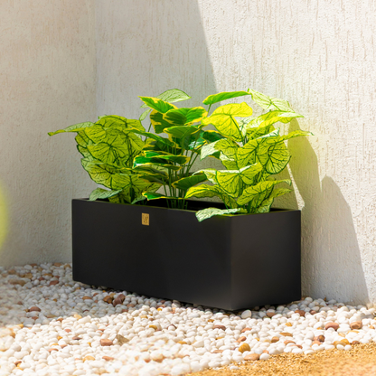 Naplez Planter
