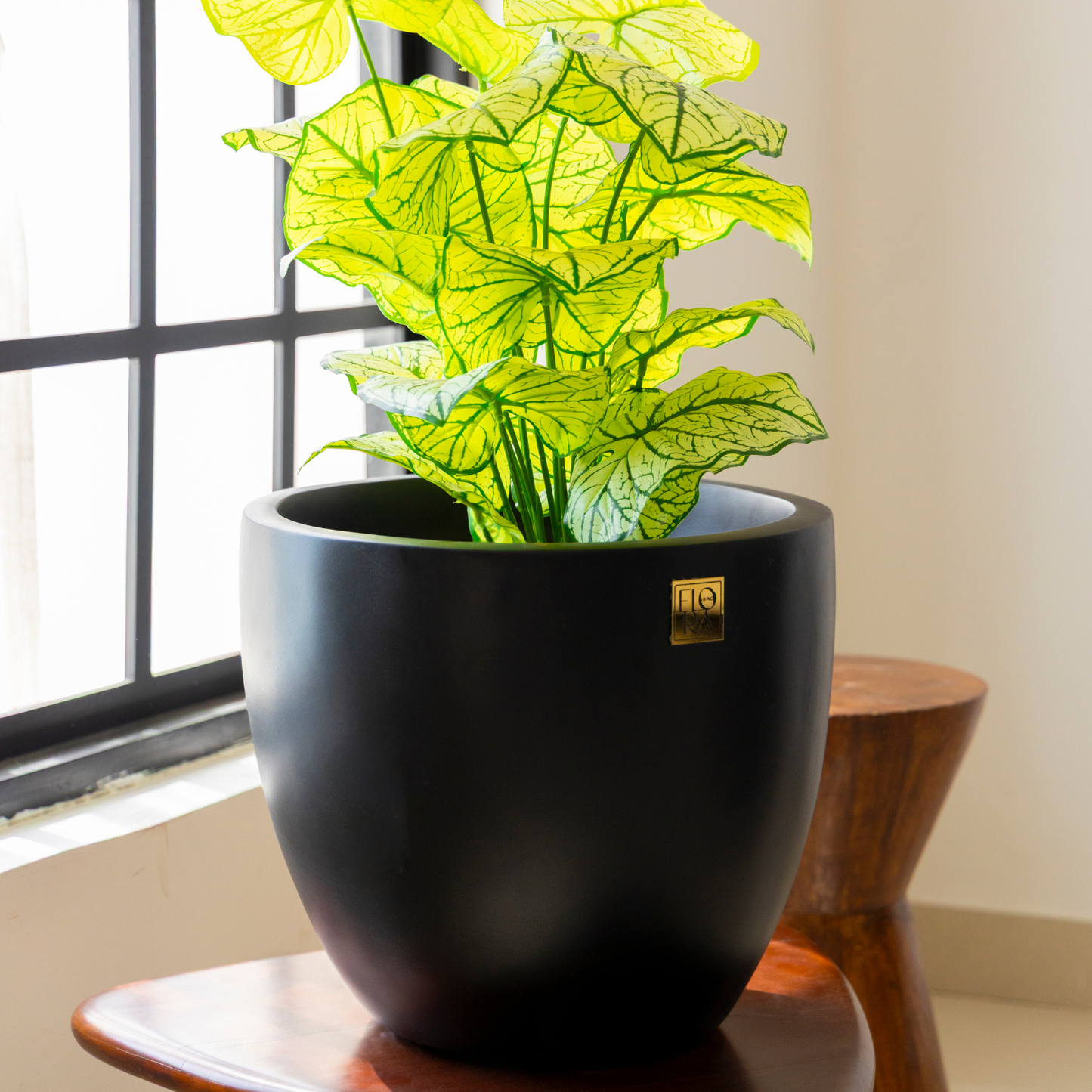 Round Bowl Planter -Black