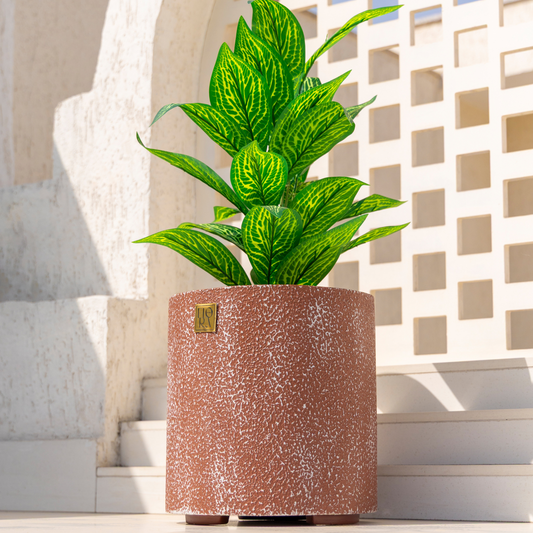 Reo Planter