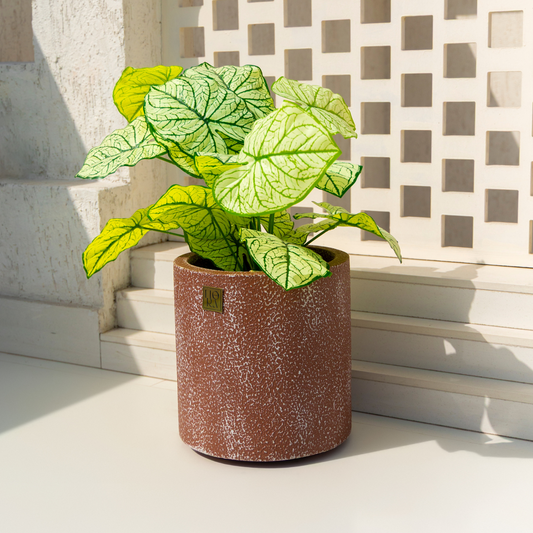 Reo Planter- Antique rust