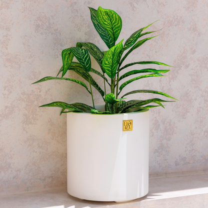 Reo Planter - White