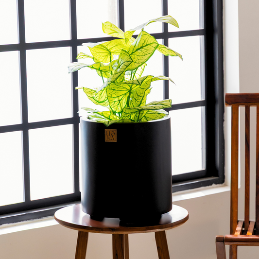 Reo Planter - Black