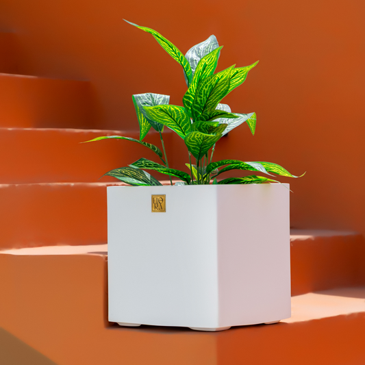 Mellan Cube Planter
