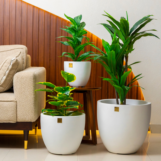 Round Bowl Planter(Set of 3)-White