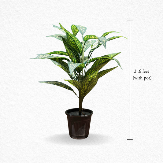 Luxleaf (EL-1032)