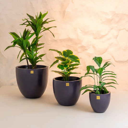 Round Bowl Planter (Set of 3)- Dark Grey