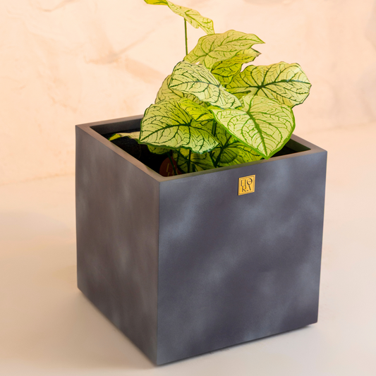 Mellan Cube Planter- Concrete