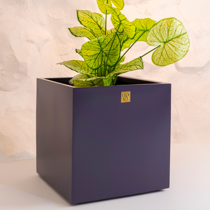 Mellan Cube Planter- Dark Grey