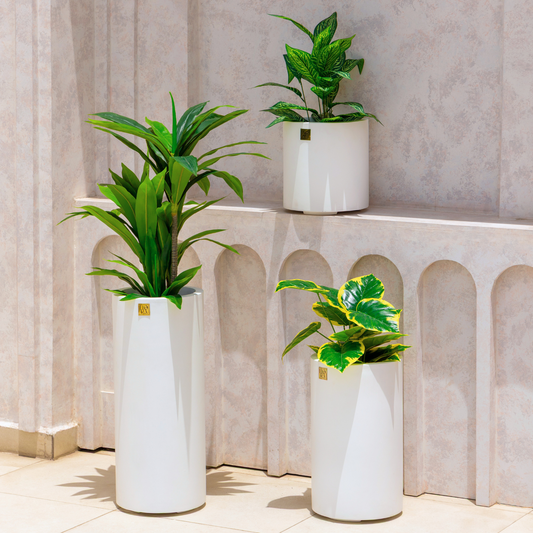 Reo Planter (Set of 3) - White