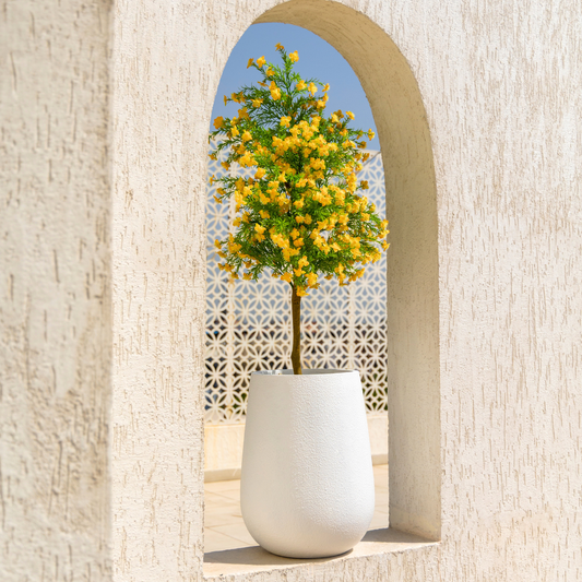 Ostin Planter