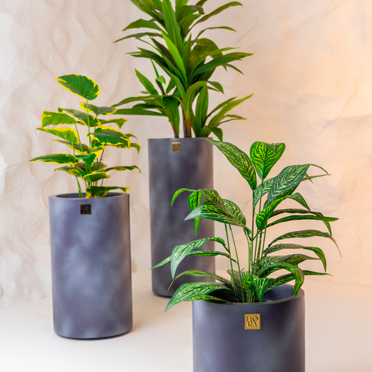 Reo Planter (Set of 3) - Concrete