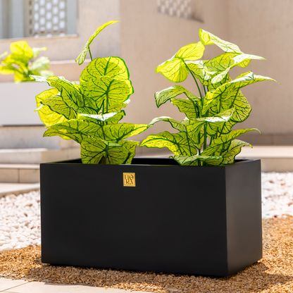 Naplez Planter