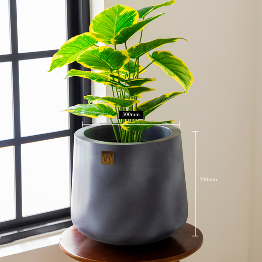 Kota Bowl Planter - Concrete