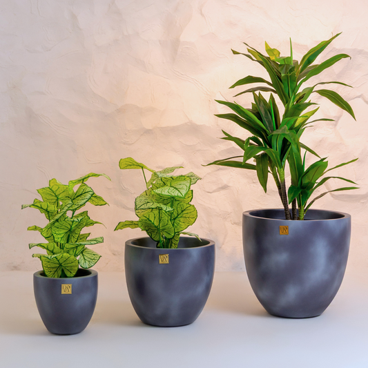 Round Bowl Planter (Set of 3) - Concrete