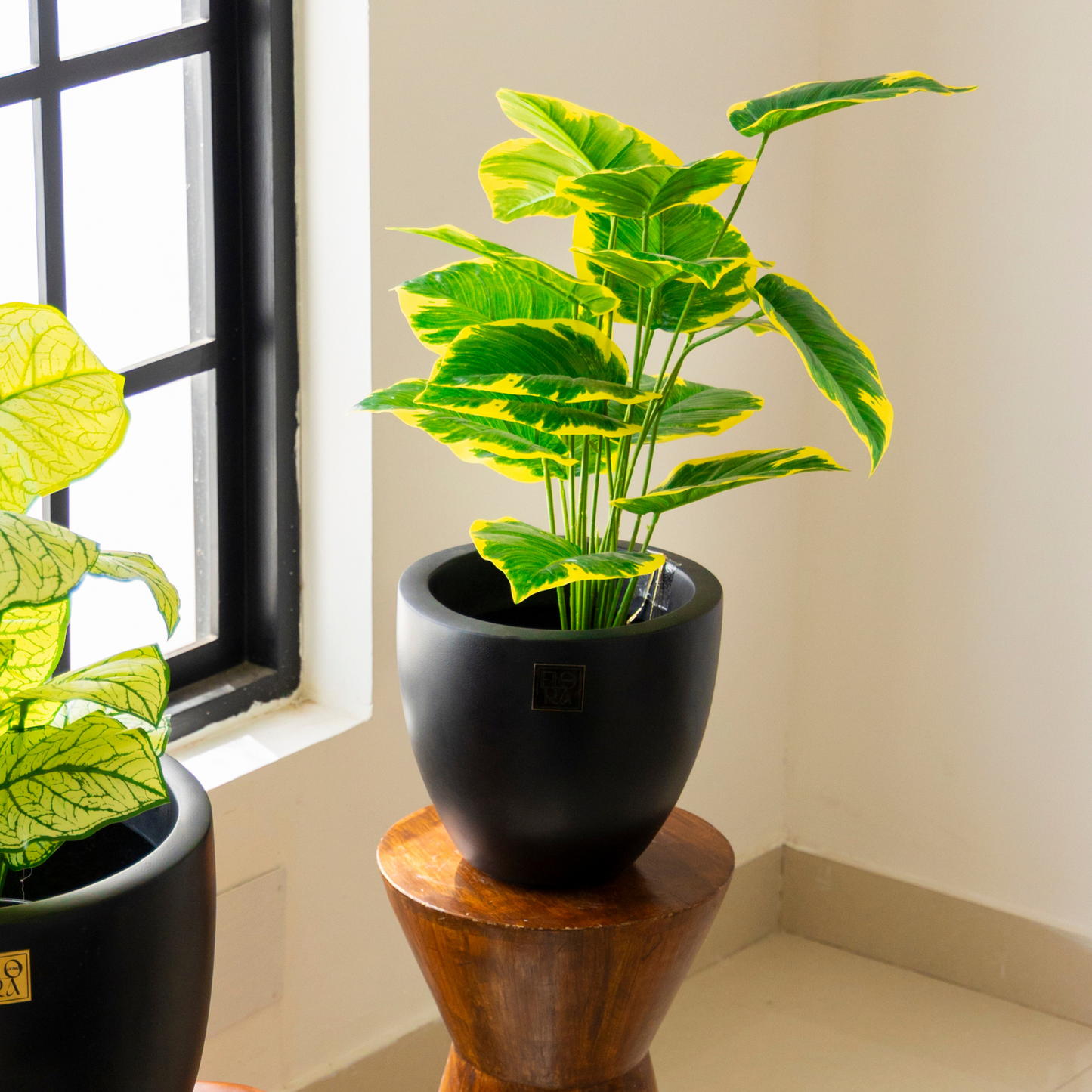 Round Bowl Planter -Black