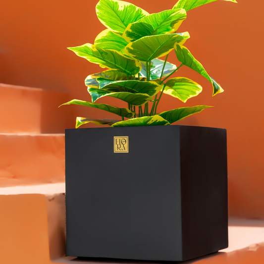 Mellan Cube Planter - Black