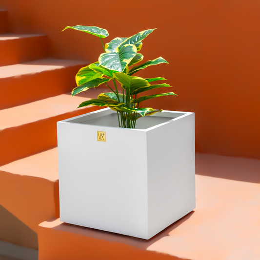 Mellan Cube Planter-white