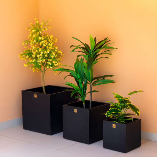 Mellan Cube Planter (Set of 3) - Black