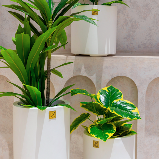 Reo Planter (Set of 3) - White