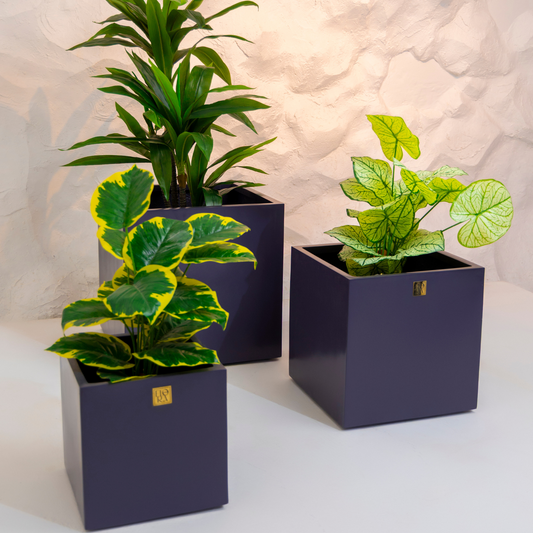 Mellan Cube Planter (Set of 3) - Dark Grey