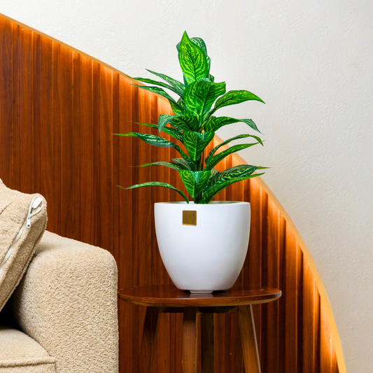 Luxleaf (EL-1032)