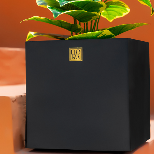 Mellan Cube Planter - Black