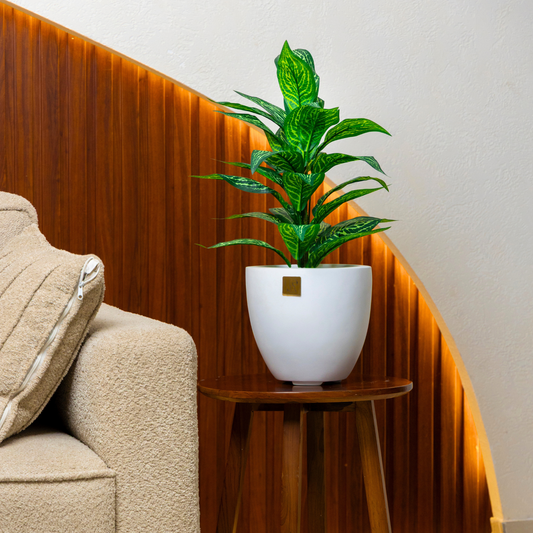Round Bowl Planter
