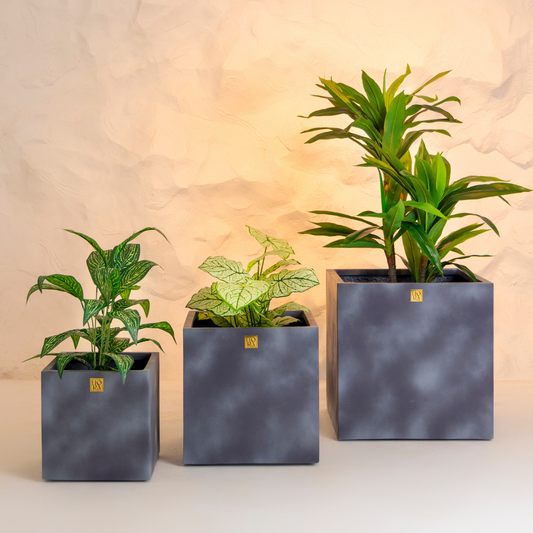 Mellan Cube Planter (Set of 3) - Concrete