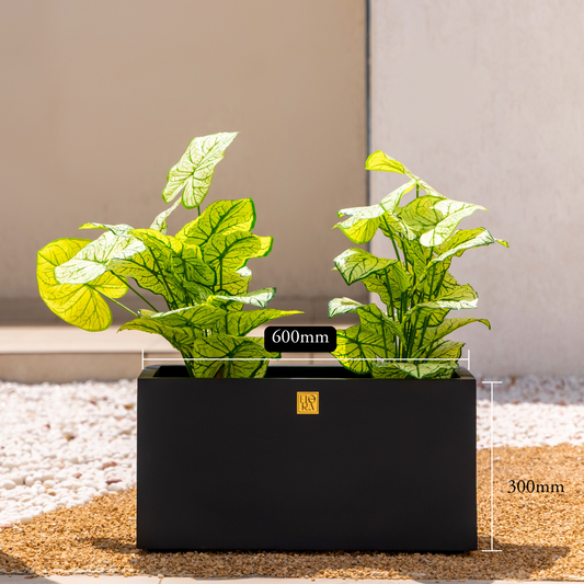 Naplez Planter - Black
