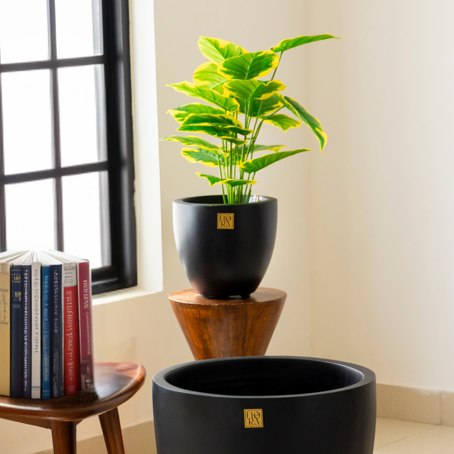 Round Bowl Planter -Black