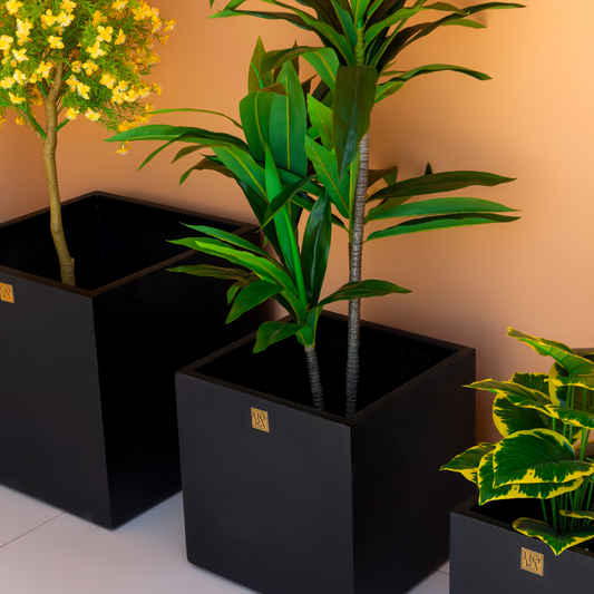 Mellan Cube Planter (Set of 3) - Black