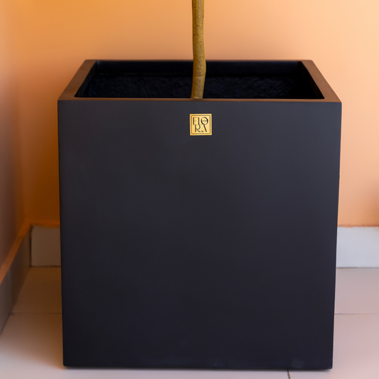 Mellan Cube Planter