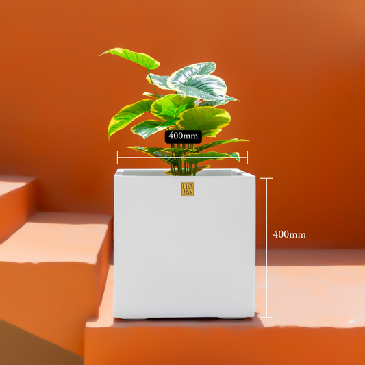 Mellan Cube Planter (Set of 3) - White