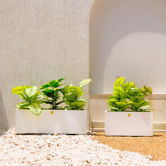 Naplez Planter - White