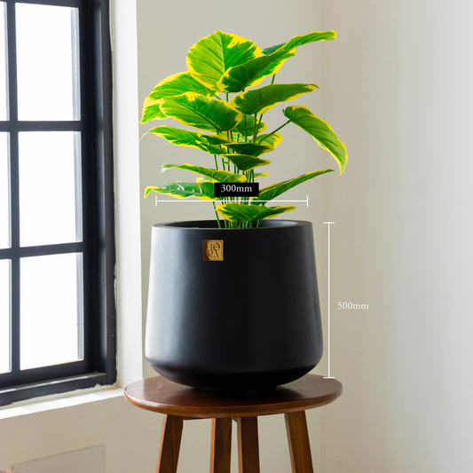 Kota Bowl Planter - Black