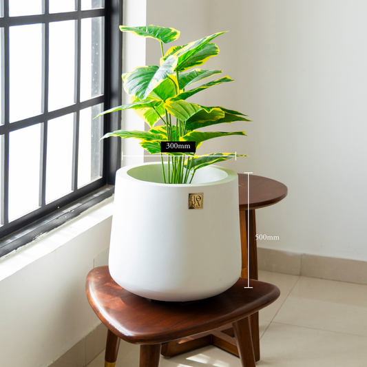 Kota Bowl Planter - White