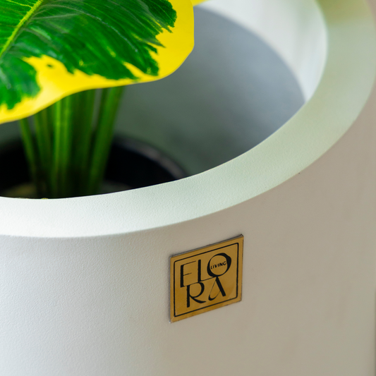 Kota Bowl Planter - White